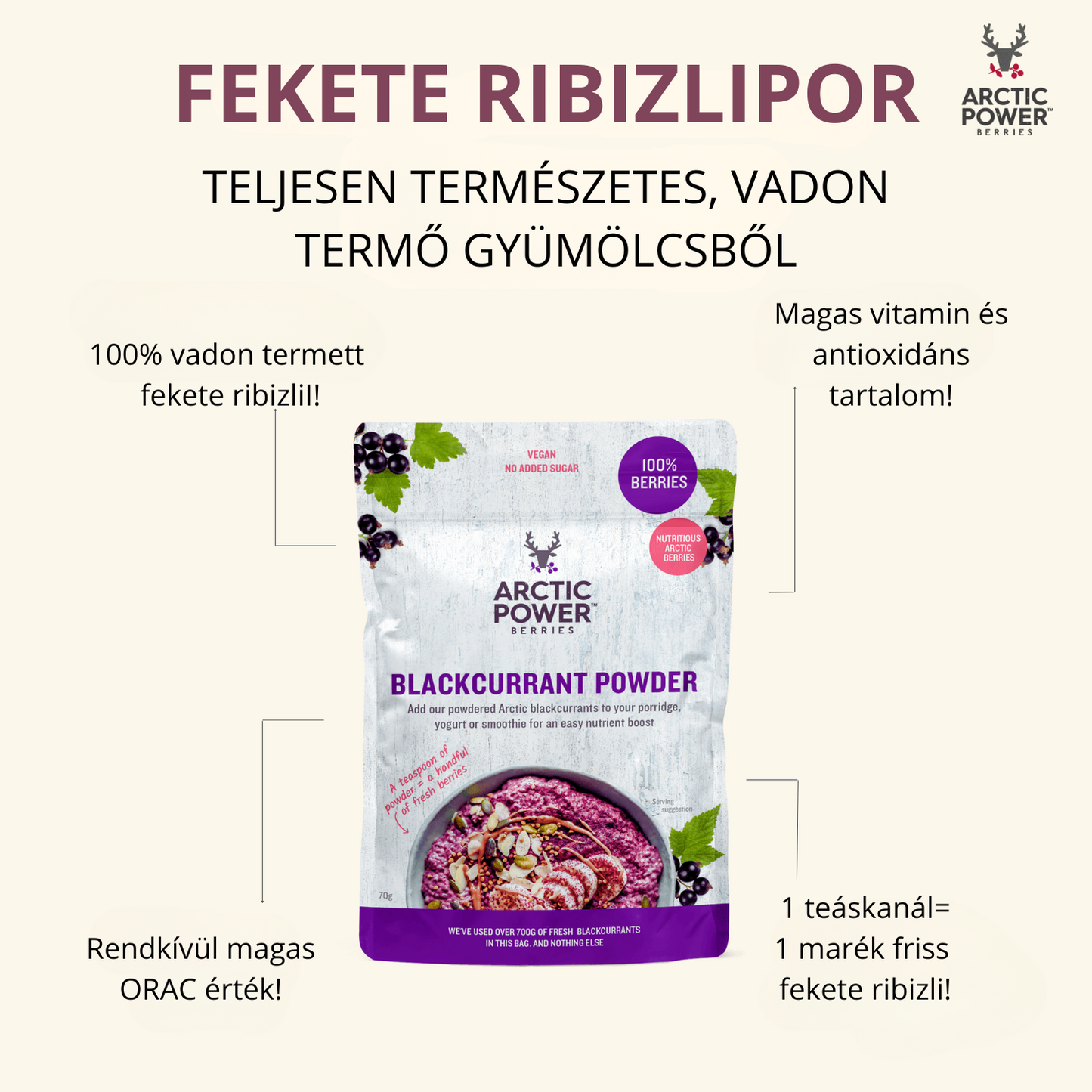 Artic Power Berries - Fekete Ribizli Por 70g