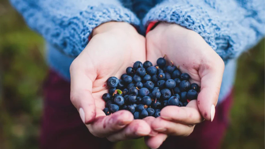 Miért érdemes több bogyós gyümölcsöt fogyasztani?