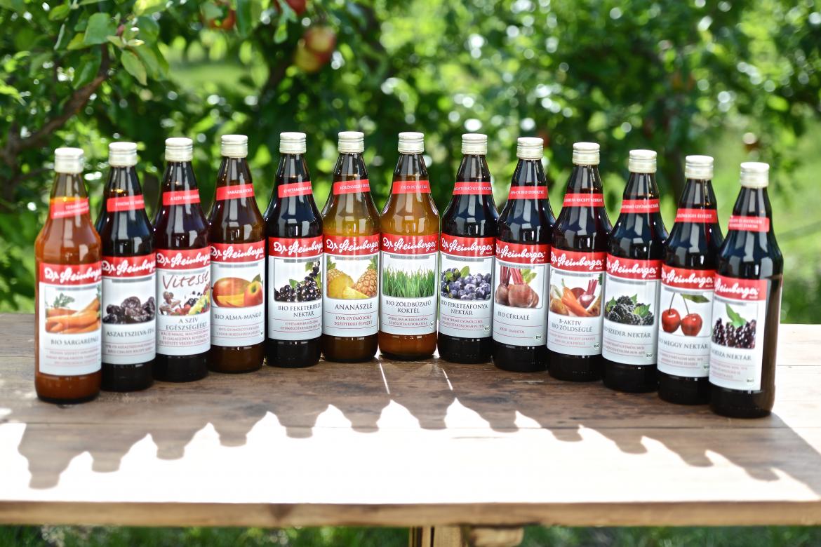 Dr. Steinberger Gyümölcslevek