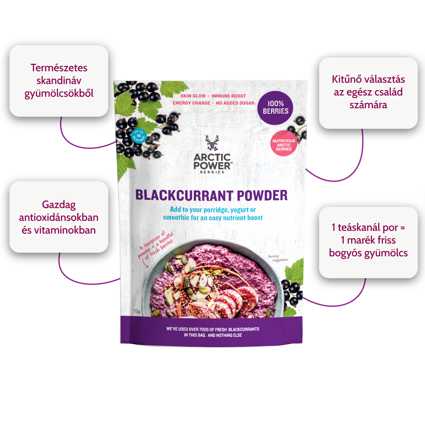 Arctic Power Berries - Fekete Ribizli Por 70g