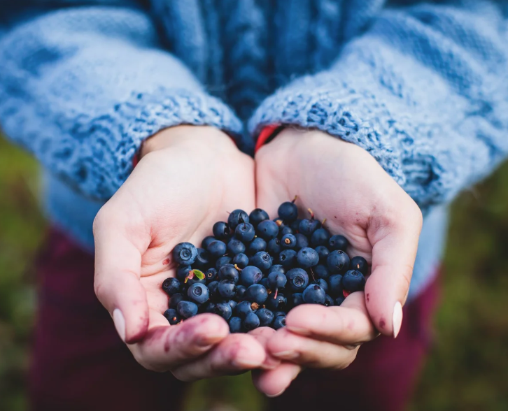 Arctic Power Berries - Vad Erdei Áfonya Por 70g